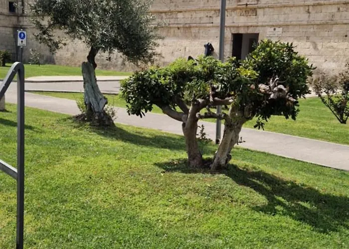 Couette-café Md House